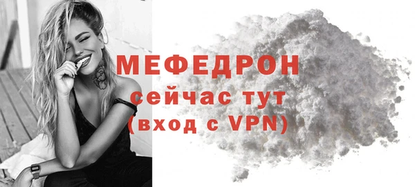 индика Бронницы