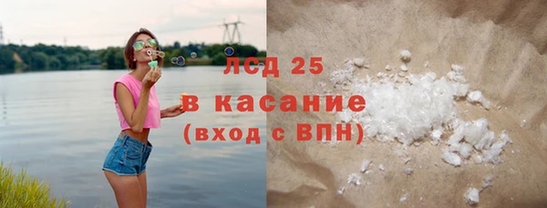 индика Бронницы