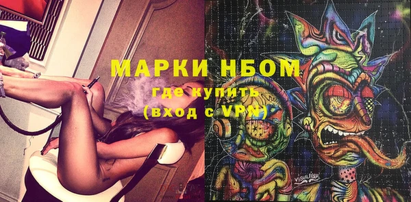 индика Бронницы