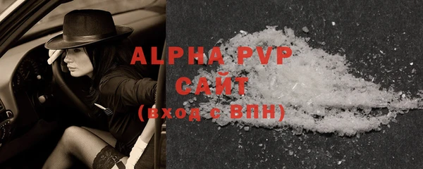 индика Бронницы