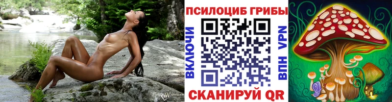 Псилоцибиновые грибы мицелий  наркошоп  Верхняя Тура 